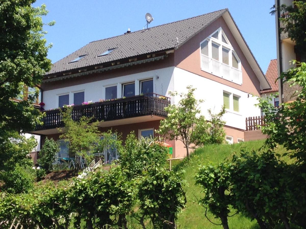 Haus Talblick Daire Freudenstadt Dış mekan fotoğraf